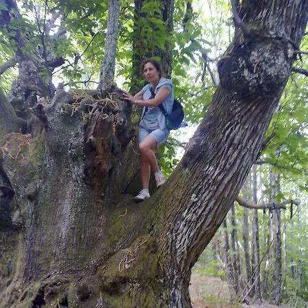 La Casa Del Telar Valverde del Fresno