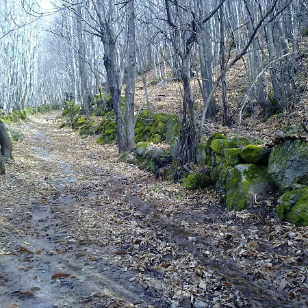 Apartment La Casa Del Telar