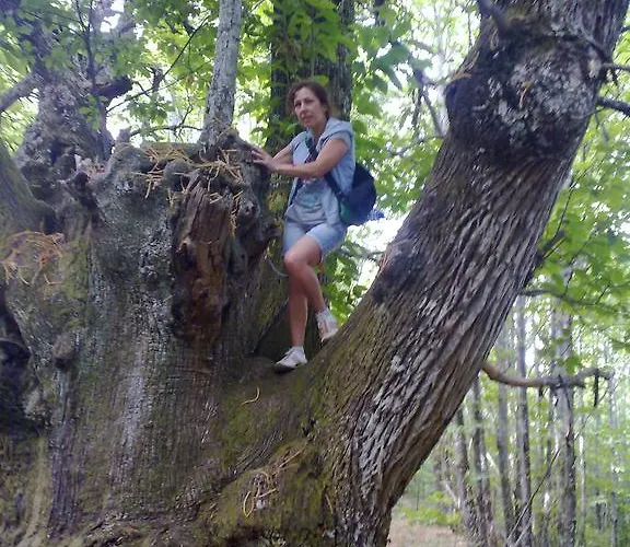 La Casa Del Telar Valverde del Fresno