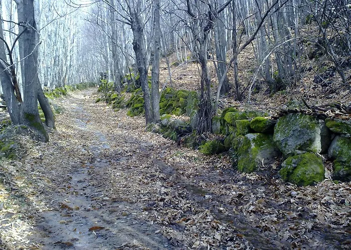 דירה La Casa Del Telar